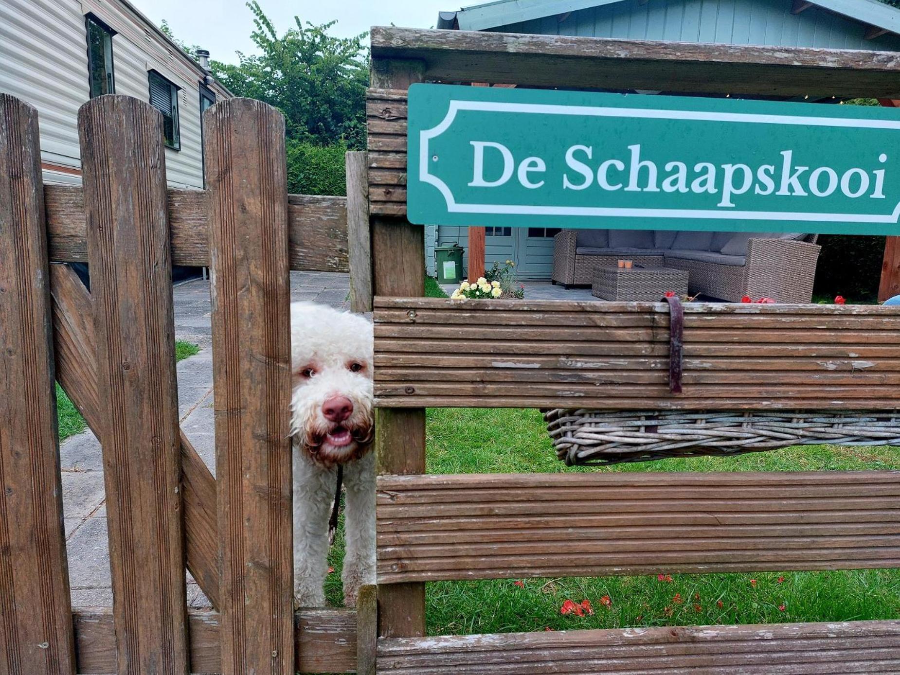 Familychalet De Schaapskooi, 6-Persons, Big Private Garden, Dogs Aloud Westergeest Kültér fotó